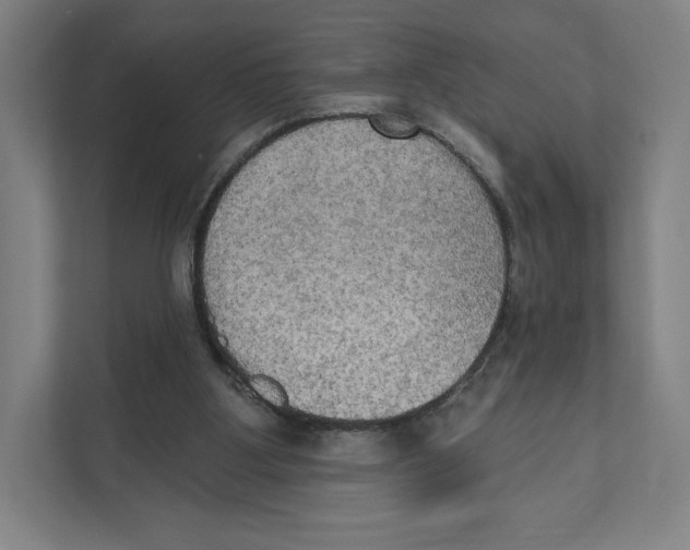 X0000111440107200908101022