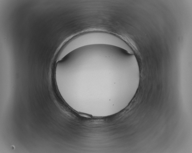 X0000111440108200908101022