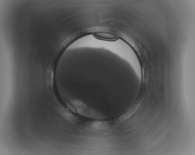 X0000111440109200908101022