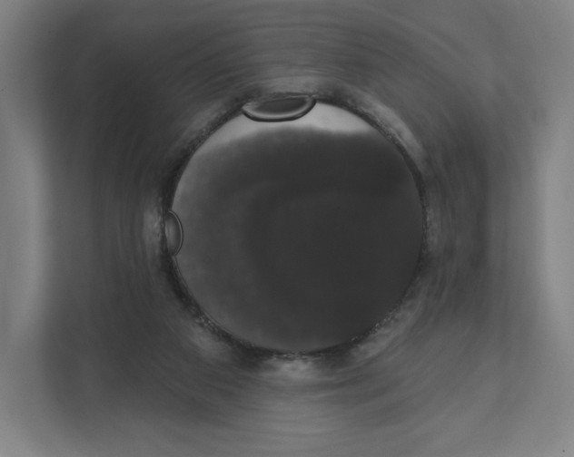 X0000111440113200908101022