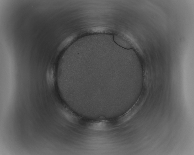 X0000111440116200908101022