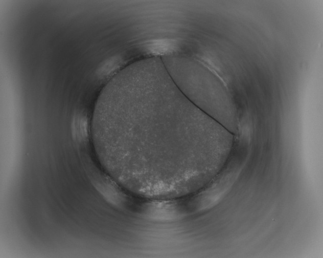 X0000111440117200908101022