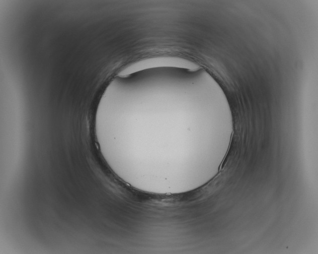 X0000111440120200908101022