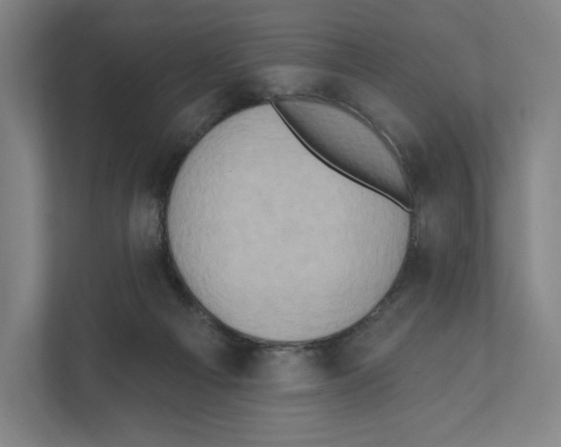 X0000111440121200908101022