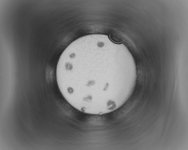 X0000111440123200908101022