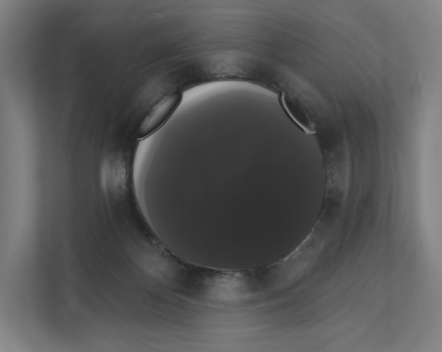 X0000111440124200908101022