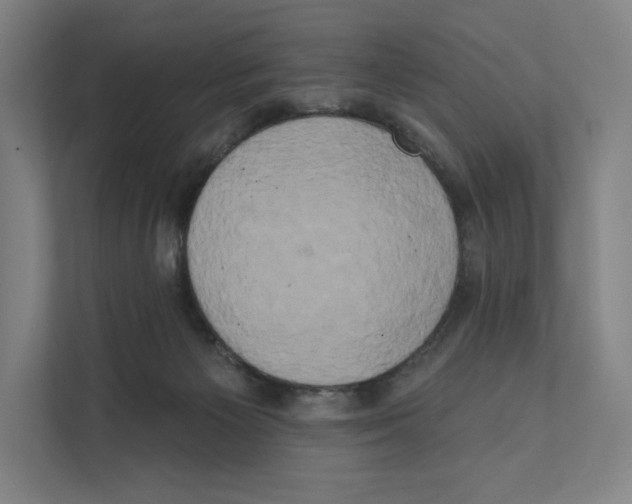 X0000111440125200908101022