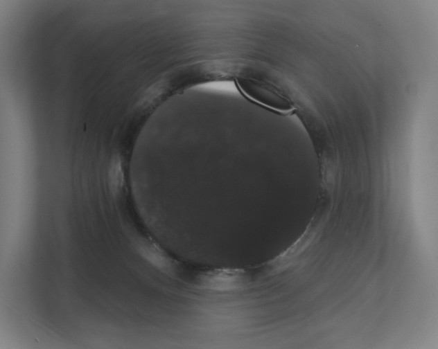 X0000111440128200908101022