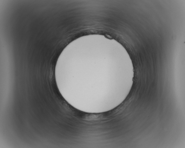 X0000111440129200908101022