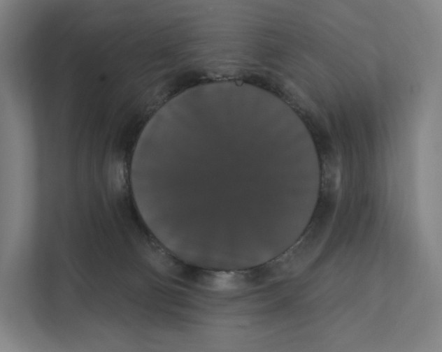 X0000111440130200908101022