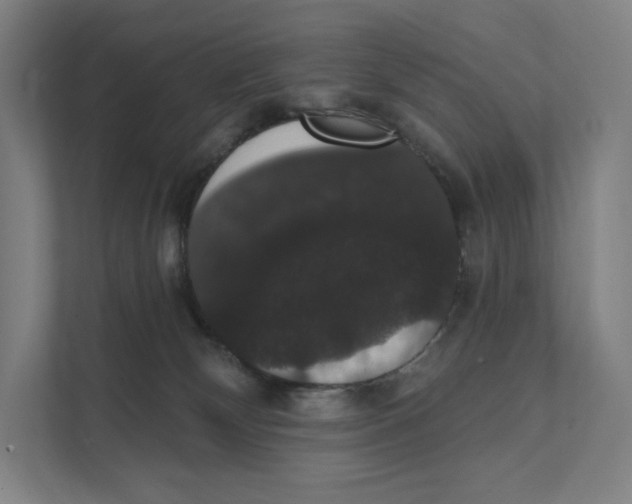 X0000111440132200908101022