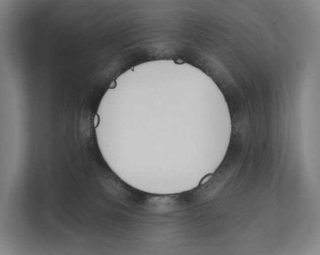 X0000111440133200908101022