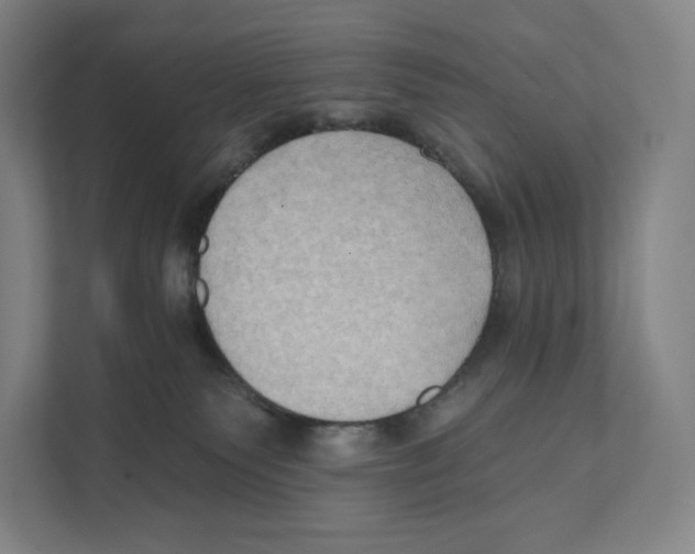 X0000111440135200908101022