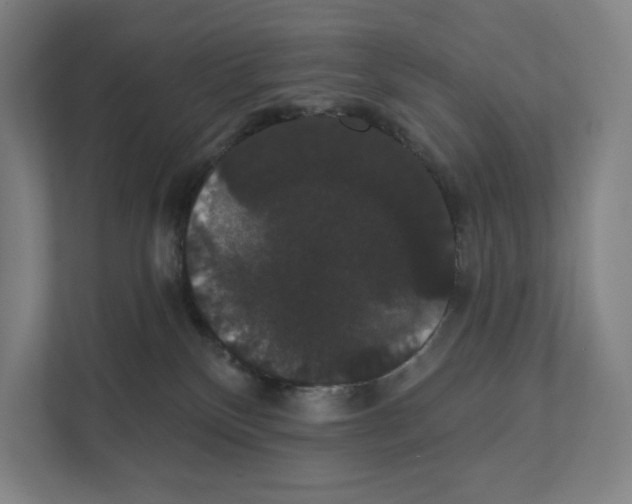 X0000111440136200908101022