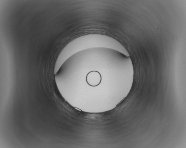 X0000111440137200908101022