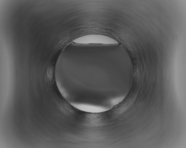 X0000111440139200908101022