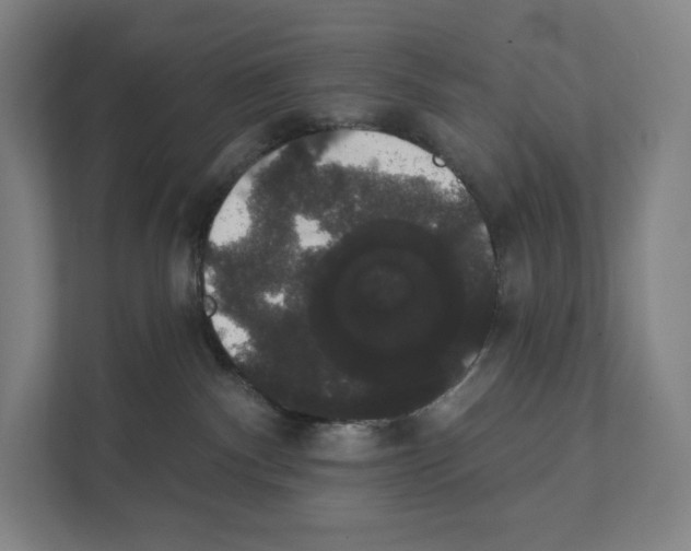 X0000111440140200908101022