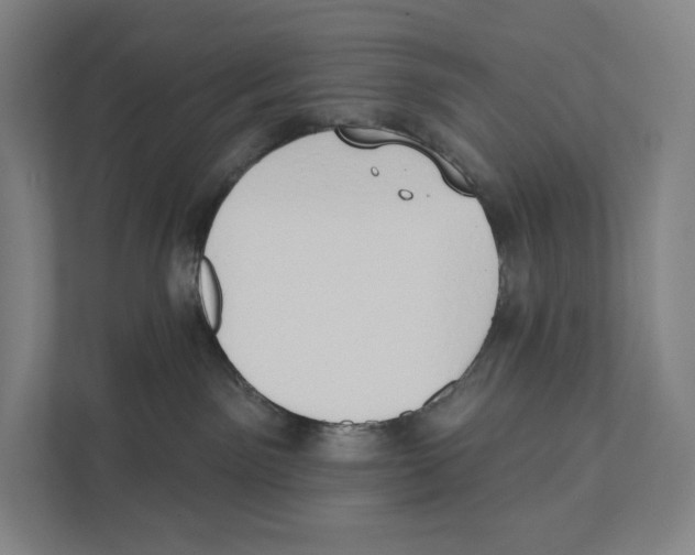 X0000111440141200908101022