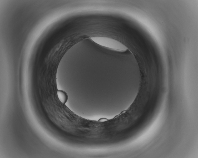 X0000111440143200908101022