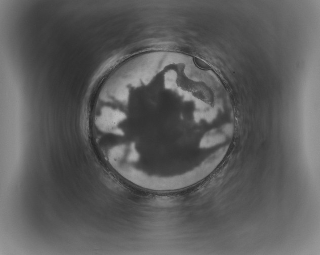 X0000111440149200908101021