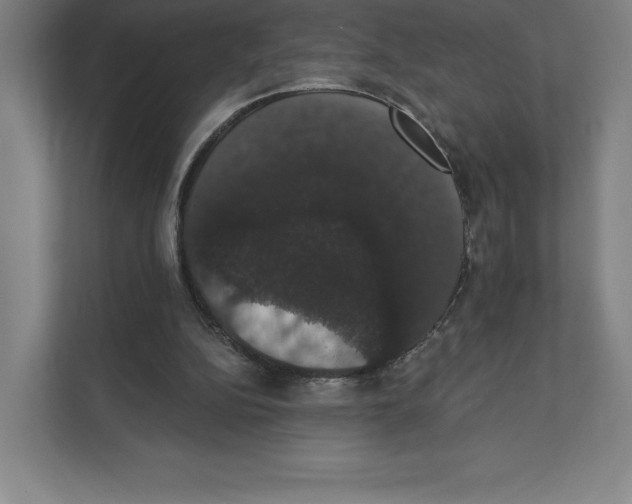 X0000111440152200908101021