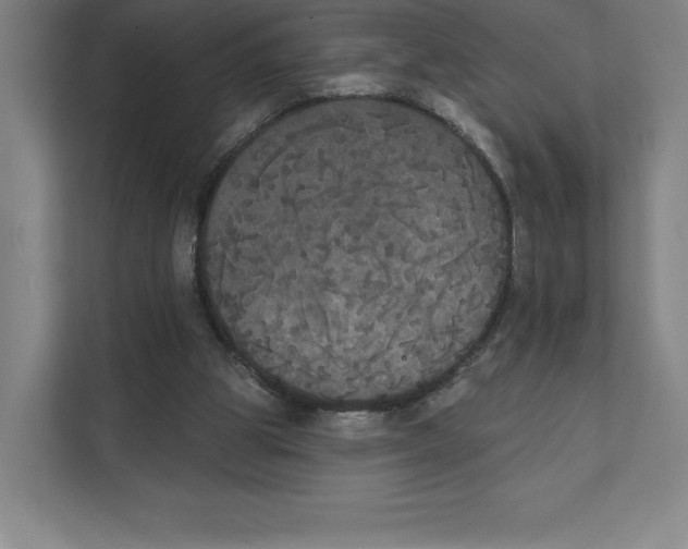 X0000111440153200908101021