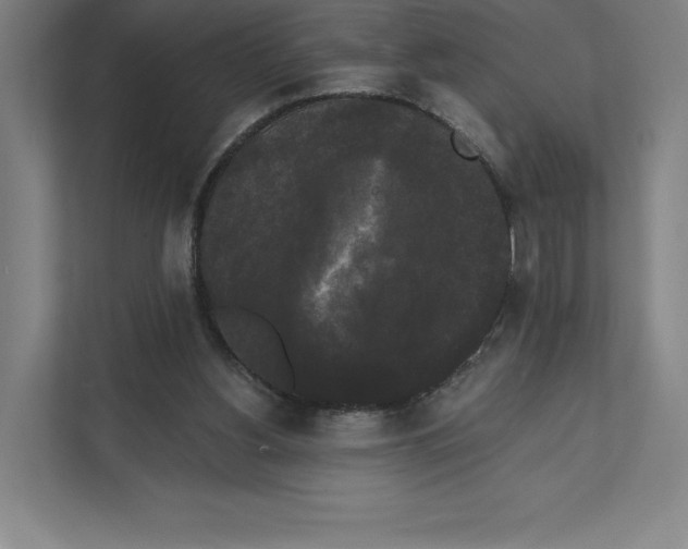 X0000111440156200908101021