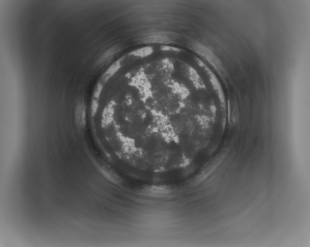 X0000111440157200908101021