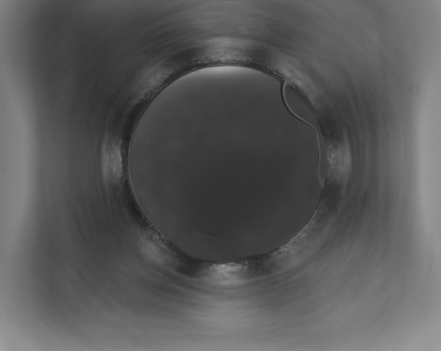 X0000111440158200908101021