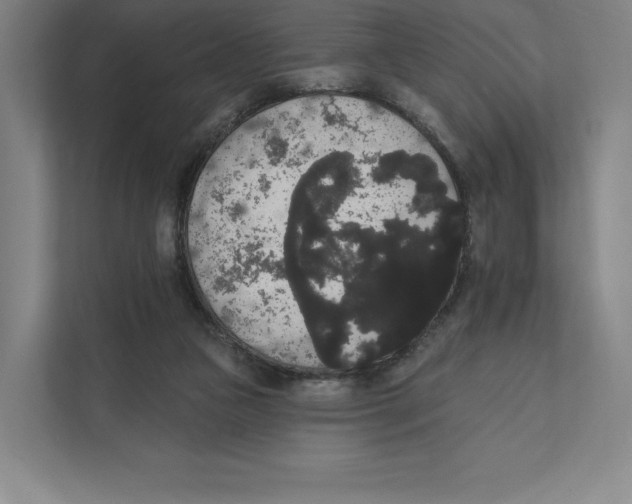 X0000111440161200908101021