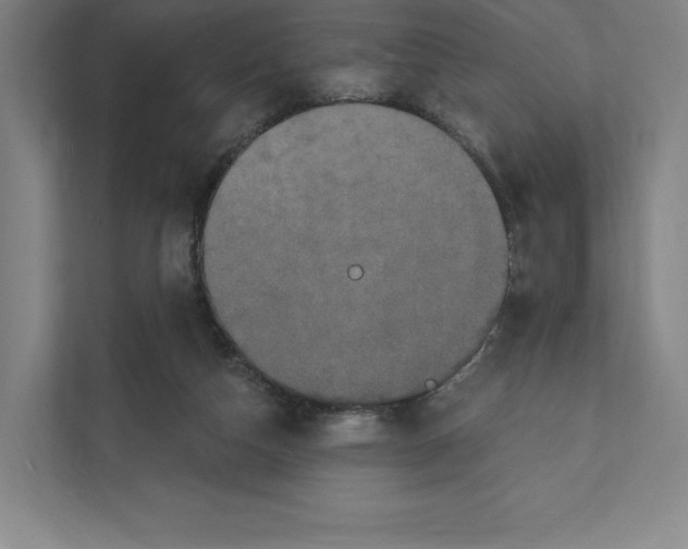 X0000111440162200908101021