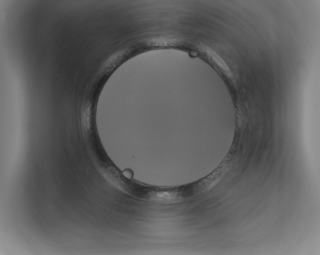 X0000111440163200908101021