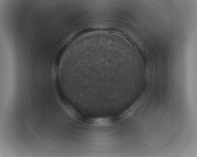 X0000111440168200908101022