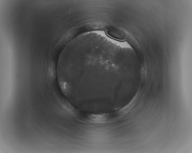 X0000111440170200908101022