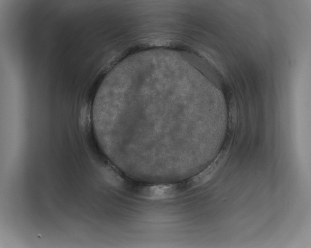 X0000111440172200908101022