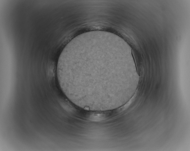 X0000111440174200908101022