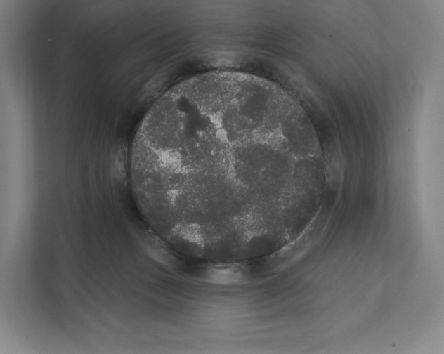 X0000111440175200908101022