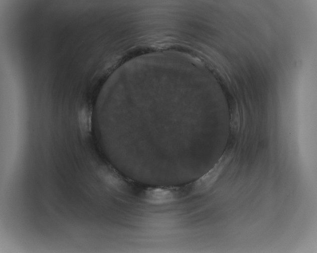 X0000111440180200908101022