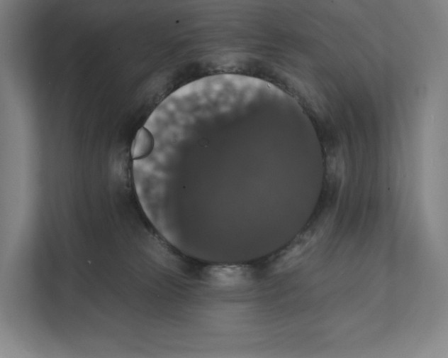 X0000111440181200908101022