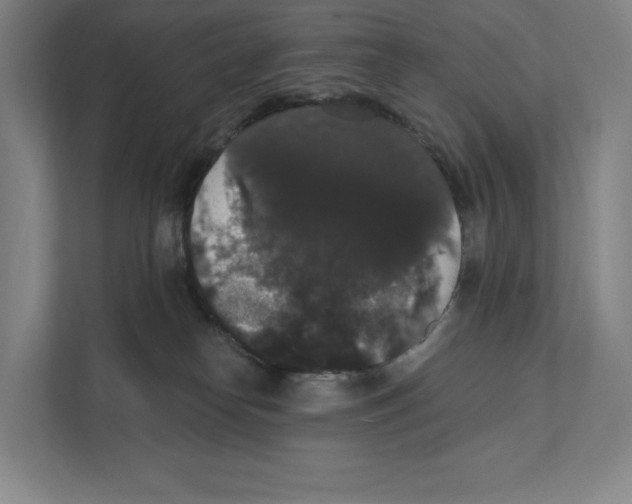 X0000111440182200908101022