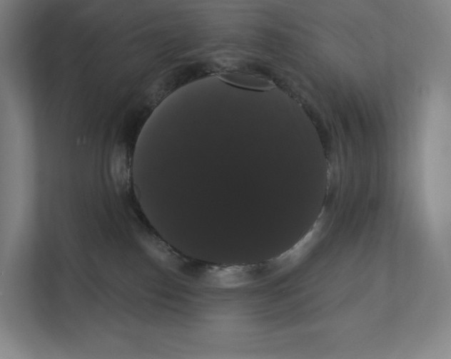 X0000111440186200908101022