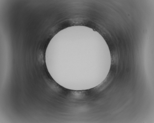 X0000111440187200908101022