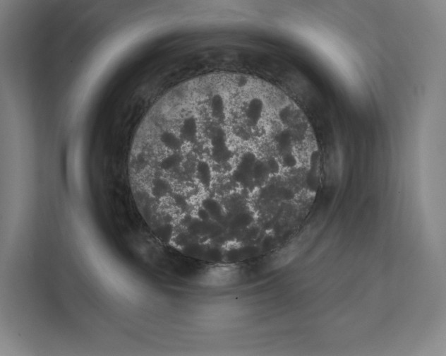 X0000111440189200908101022