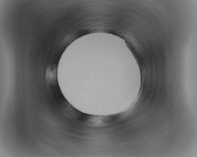 X0000111440190200908101022