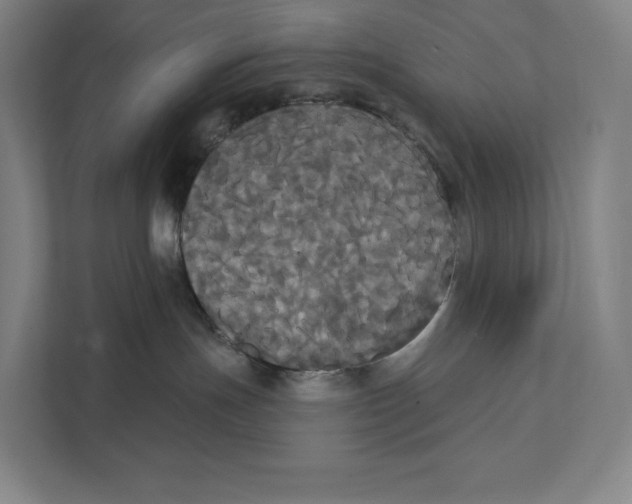 X0000111440191200908101022