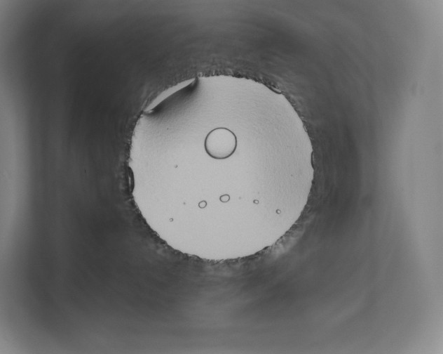 X0000111440192200908101022