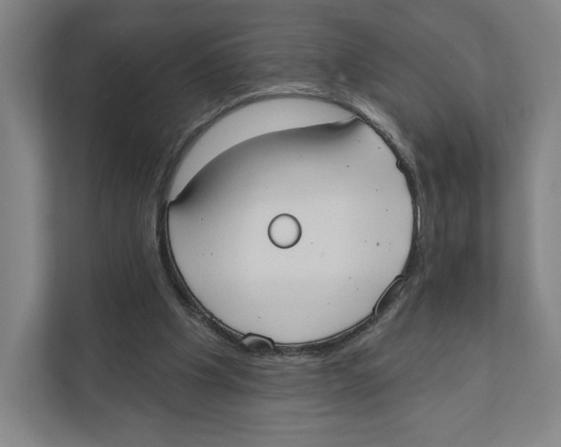 X0000111440201200908101021