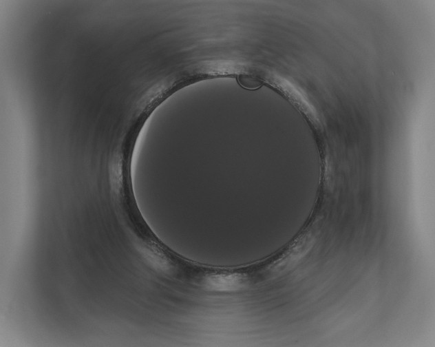 X0000111440202200908101021