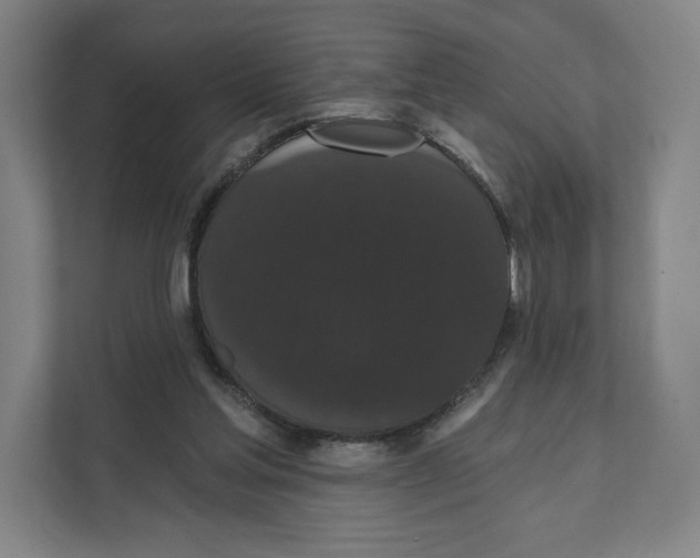 X0000111440205200908101021