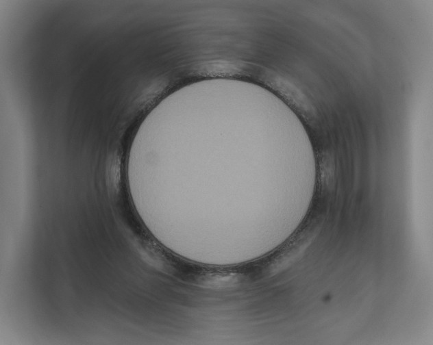 X0000111440206200908101021